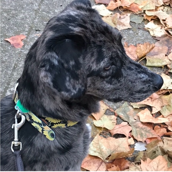 FOLLOW THE JONESES TO 400K! - Picture 6 of 16